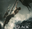 Black Sails (2ª Temporada)