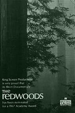 The Redwoods (The Redwoods)