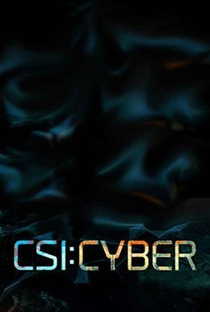 CSI: Cyber (2ª temporada) - Poster / Capa / Cartaz - Oficial 3