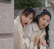 104회