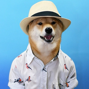 Foto de perfil de Fransieli