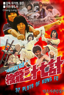 37 Plots of Kung Fu - Poster / Capa / Cartaz - Oficial 1
