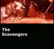 The Scavengers