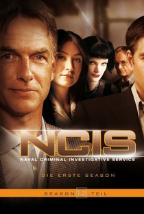 NCIS: Investigações Criminais  (12ª Temporada) - Poster / Capa / Cartaz - Oficial 2