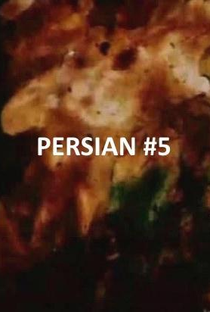 Persian Series #5 - Poster / Capa / Cartaz - Oficial 1