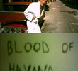 Blood of Havana