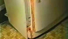 Attack of the killer refrigerator