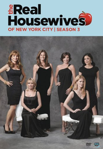 The Real Housewives of New York (3ª Temp) (The Real Housewives of New York City (Season 3))