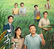 幸福草