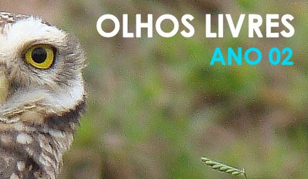 OLHOS LIVRES ANO 02 -  Blog por Carlos Reichenbach