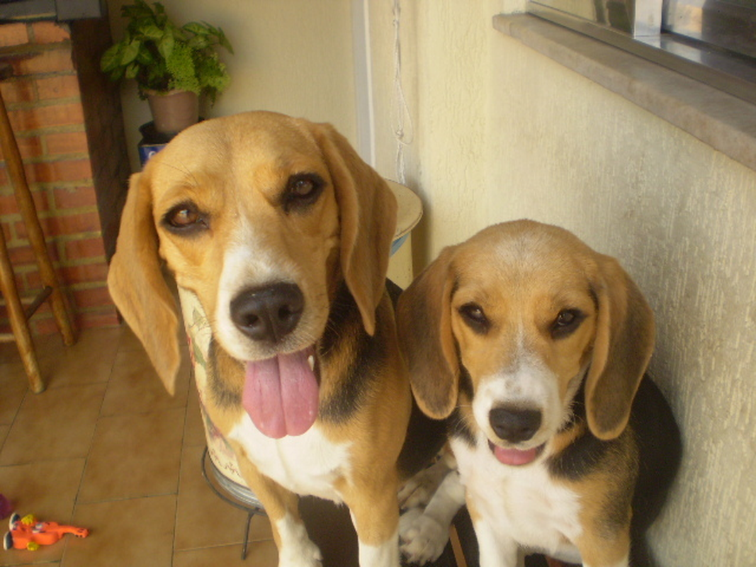 Cristina - Foto 5
