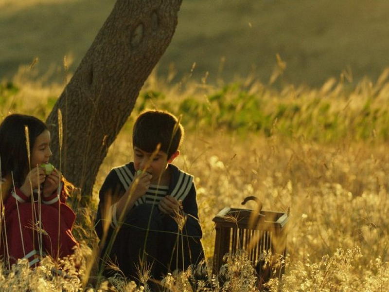 Foto 5 de Lost Birds