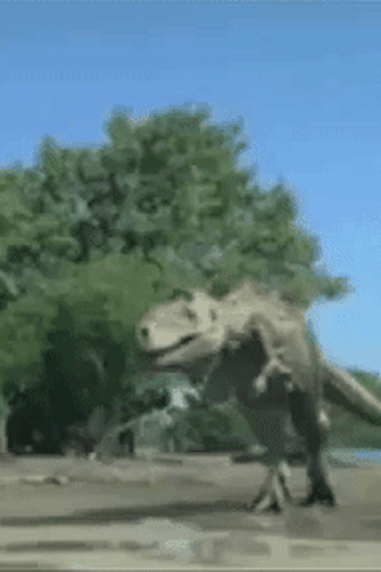 Poster de Curta Spectacles on the Beach (2009)