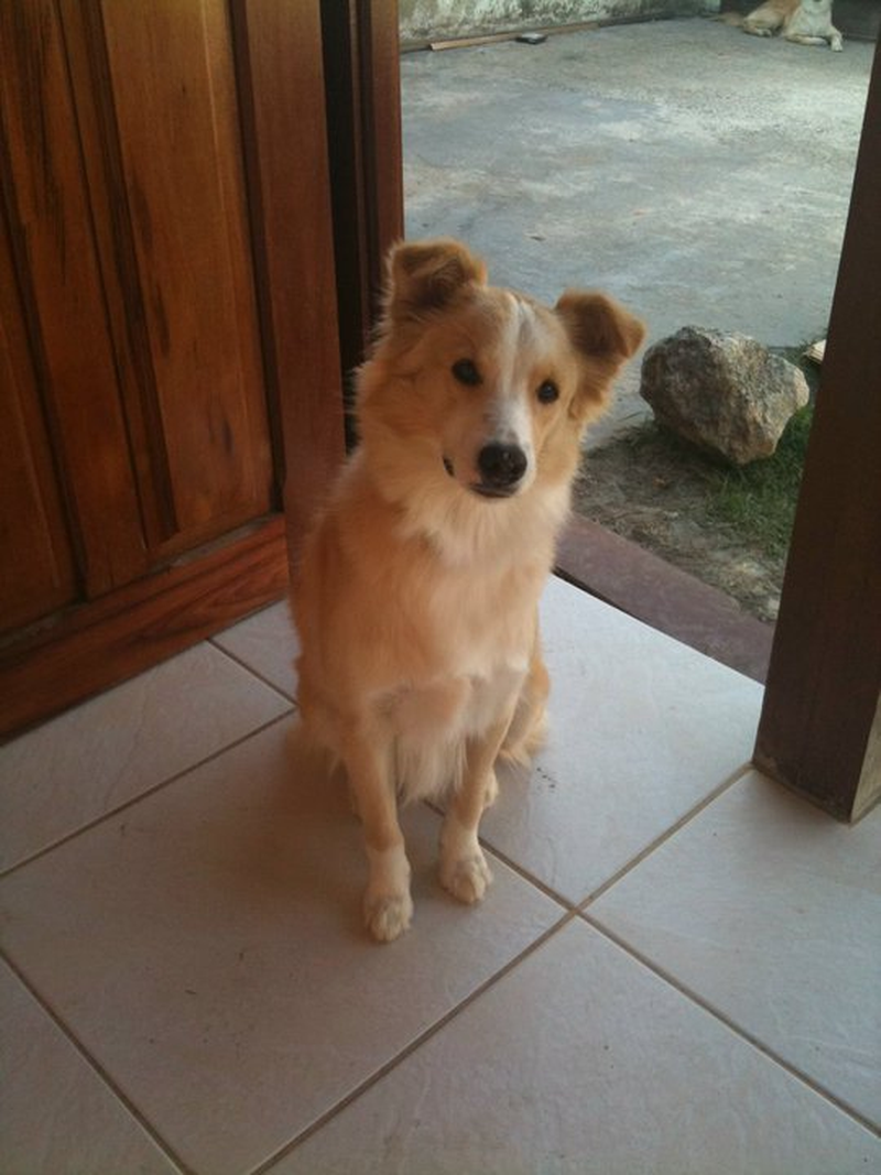 Minoru - Foto 2