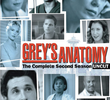 A Anatomia de Grey (2ª Temporada)