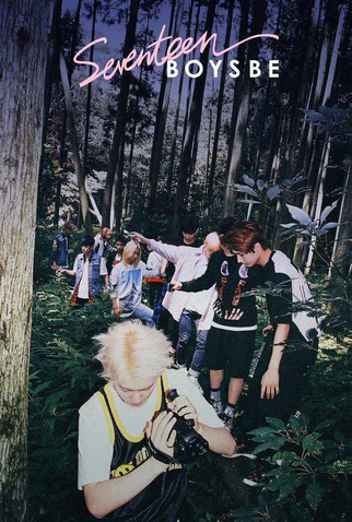 Poster 1 de Filme Boys Be Diary (2015)