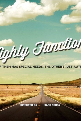 Poster 1 de Filme Highly Functional (2017)