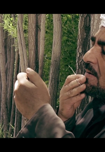Qamar (Qamar)