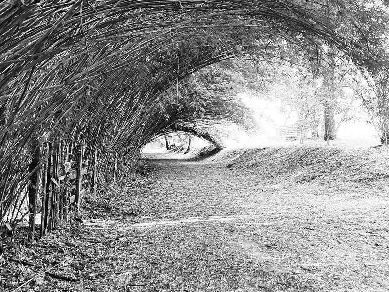 Foto 4 de Meu Nome é Gal