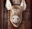 Cru