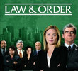 Lei e Ordem (15ª Temporada)