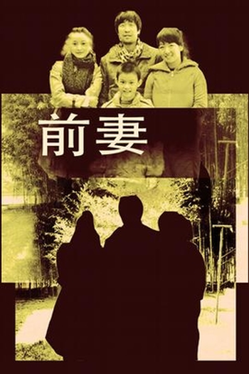Poster de Filme A Ex-Mulher (2009)