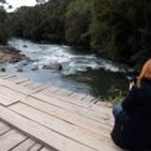 Foto de perfil de Desiree Peters