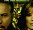 CSI: Investigação Criminal (7ª Temporada)
