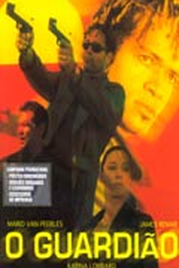 Poster de Filme O Guardião (2001)