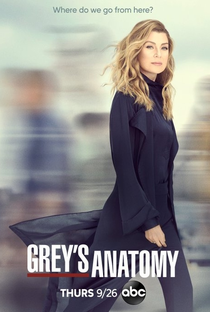 A Anatomia de Grey (16ª Temporada) - Poster / Capa / Cartaz - Oficial 1