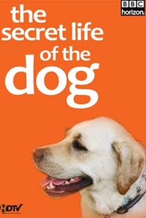 A Vida Secreta dos Cachorros - Poster / Capa / Cartaz - Oficial 1