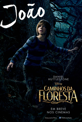 Poster 14 de Filme Caminhos da Floresta (2014)