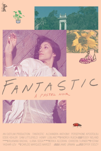 Poster de Filme Fantastic (2016)
