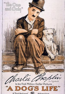 Vida de Cachorro (A Dog's Life)