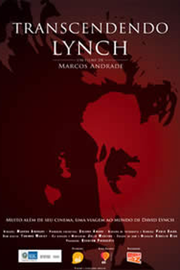 Poster de Filme Transcendendo Lynch (2011)