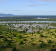 Luangwa: The Emerald Valley