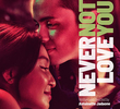 Never Not Love You