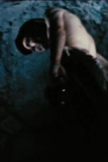 Surfarara (Surfarara)