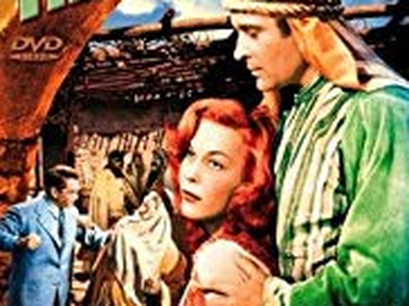 Foto 3 de Um Ianque na Líbia