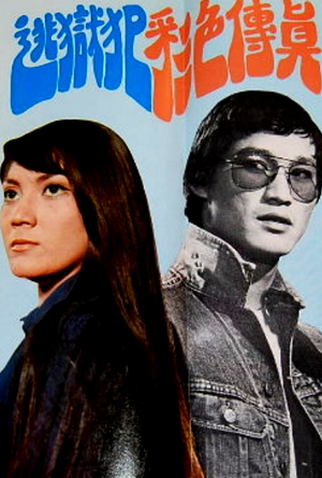 Poster 1 de Filme The Escaped Convict (1973)