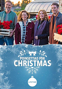 Flores de Natal (Poinsettias for Christmas)