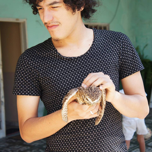 Foto de perfil de Augusto