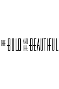 The Bold and the Beautiful  - Poster / Capa / Cartaz - Oficial 1