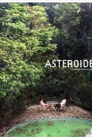 Poster 1 de Filme Asteroide (2014)