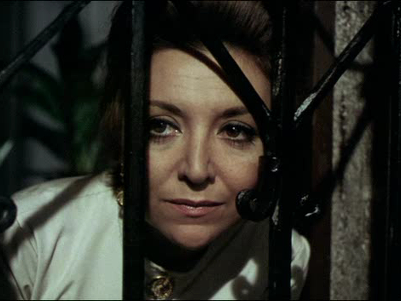 Foto 5 de El bosque del lobo