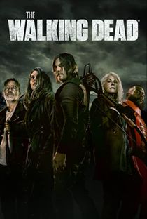 The Walking Dead (11ª Temporada) - Poster / Capa / Cartaz - Oficial 2