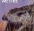 Monsters We Met