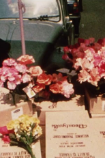 Le Voyage au Méxique (Le Voyage au Méxique)