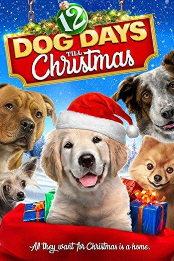  de Filme 12 Dias de Cão (2014)