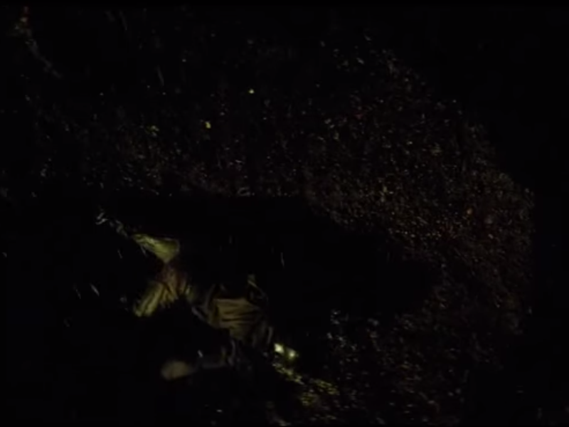 Foto 3 de Primeiro Beijo